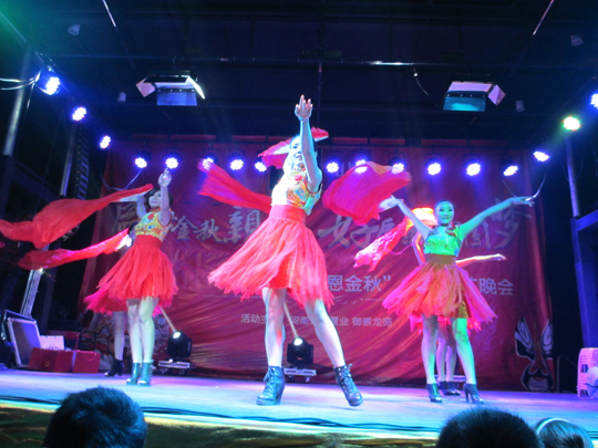 晚會(huì)開(kāi)場(chǎng)舞